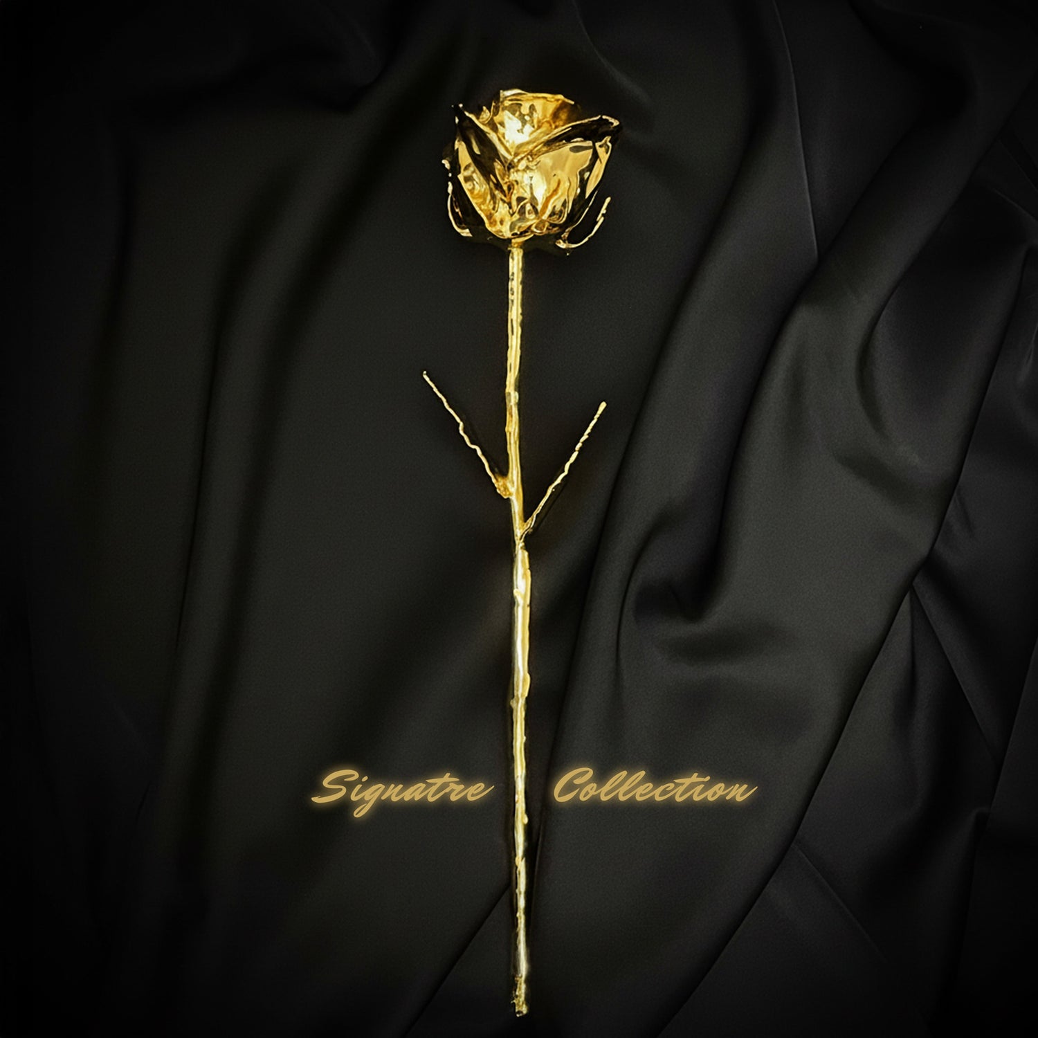 Signature Collection