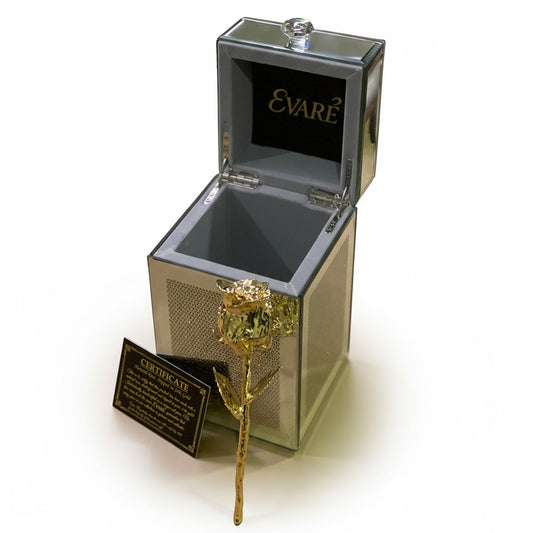 24K Gold Dipped Natural Rose 7" – Luxe Vertical Glass Box